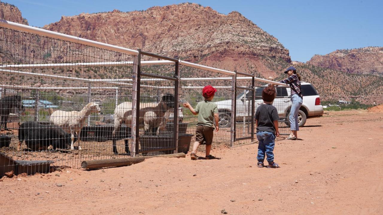 Zion View Camping Hildale Extérieur photo