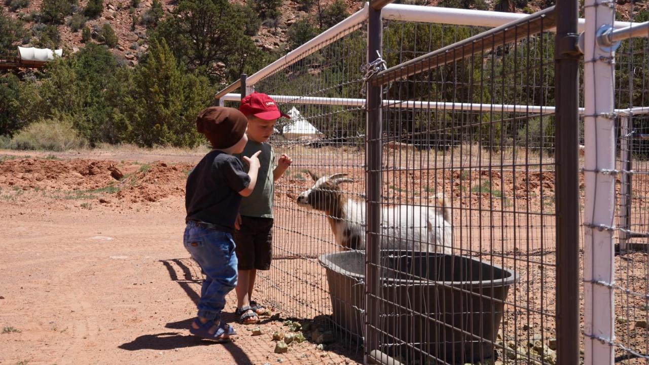 Zion View Camping Hildale Extérieur photo